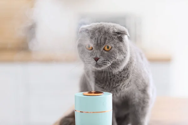 현대의 가습기와 귀여운 고양이 — 스톡 사진