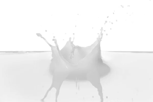 白い背景にミルクのスプラッシュ — ストック写真