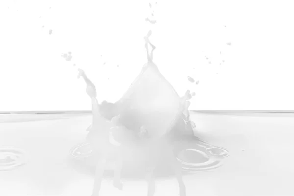 Spatten Melk Witte Achtergrond — Stockfoto