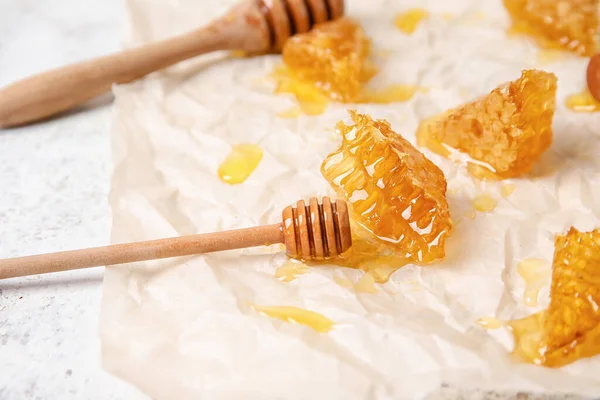 Parchment Honey Combs Light Background — Stock Photo, Image