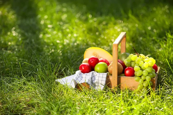 Basket Fresh Fruits Grass — Stock Photo, Image