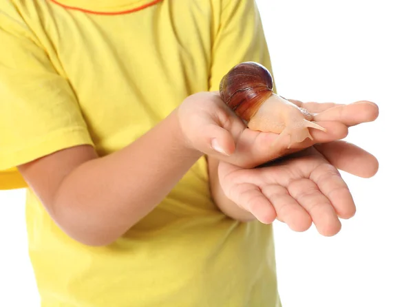 Niedliches Kleines Kind Mit Schnecke Auf Weißem Hintergrund Nahaufnahme — Stockfoto