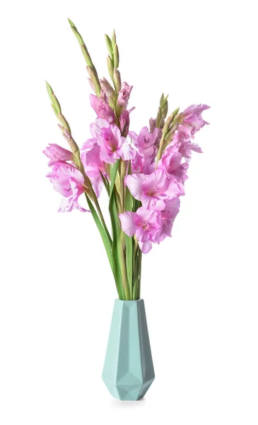 Vase Beautiful Gladiolus Flowers White Background — Stock Photo, Image