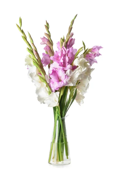 Vaso Com Belas Flores Gladiolus Sobre Fundo Branco — Fotografia de Stock