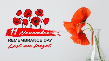 Kırmızı gelincik çiçekleri ışık arka planında vazoda. Kanada 'da Anma Günü