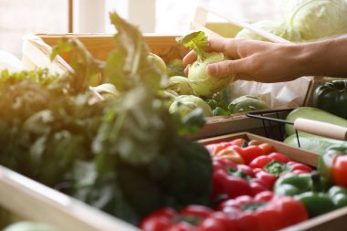 Genç adam pazarda lahana seçiyor.