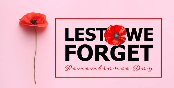 Red Poppy Flower Color Background Remembrance Day Canada — Stock Photo, Image