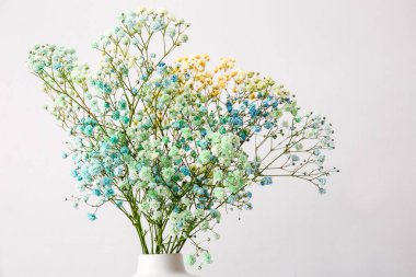 Aydınlık arkaplanda güzel çigila çiçekleri, yakın plan