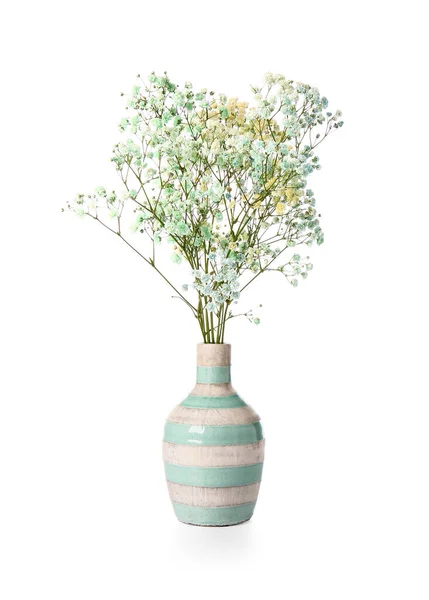 Vase Colorful Gypsophila Flowers White Background — Stock Photo, Image
