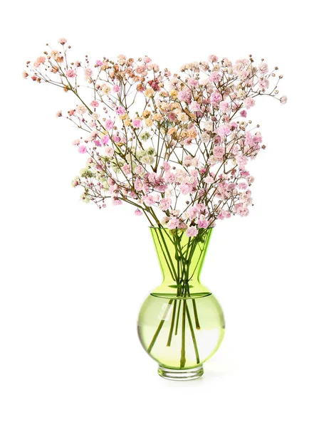 Florero Con Coloridas Flores Gypsophila Sobre Fondo Blanco — Foto de Stock