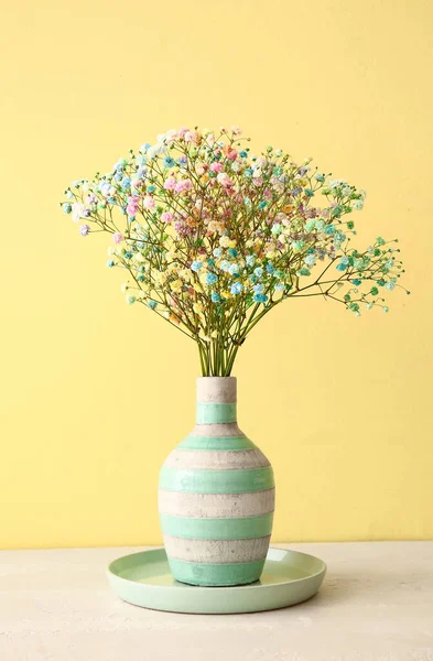 Vaso Com Belas Flores Coloridas Gypsophila Fundo Cor — Fotografia de Stock