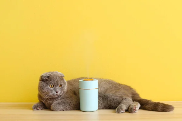 Cute Cat Modern Humidifier Color Background — Stock Photo, Image