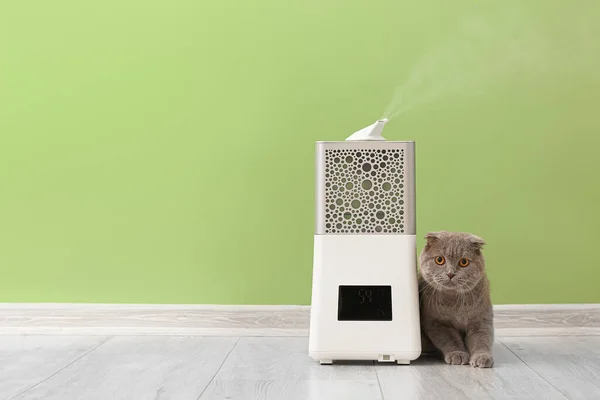 Cute Cat Modern Humidifier Color Wall — Stock Photo, Image