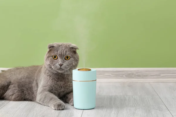 Cute Cat Modern Humidifier Color Wall — Stock Photo, Image