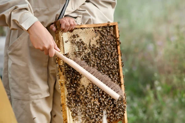 Female Beekeeper Working Apiary — Stock Photo, Image
