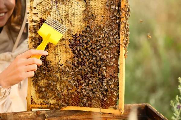 Méhészeti Dolgozó Nőstény Méhész Közelkép — Stock Fotó