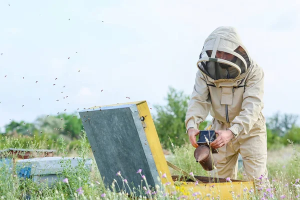 Beekeeper Working His Apiary — Stock Photo, Image