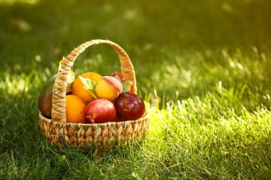 Çimlerin üzerinde taze meyveler olan sepet.