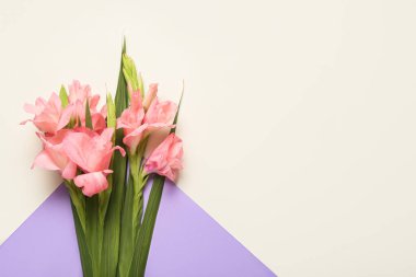 Renkli arkaplanda muhteşem gladiolus çiçekleri