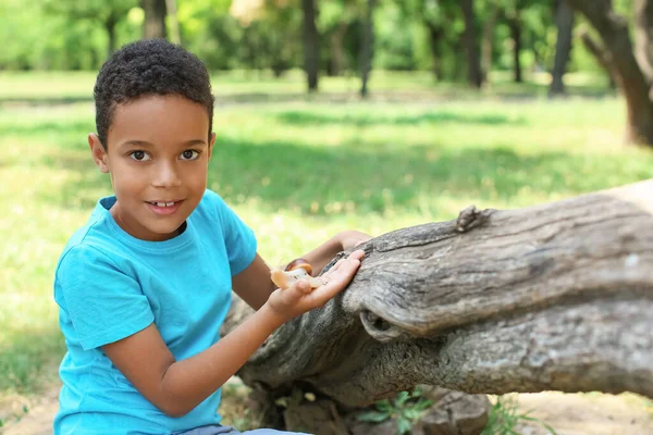 Little African American Boy Snail Outdoors — Stock Photo, Image