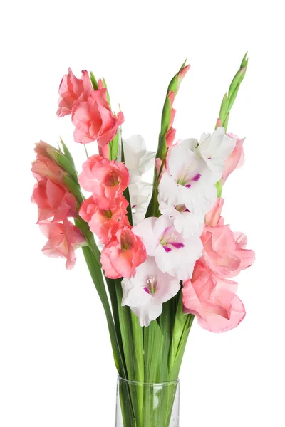 Underbara Gladiolus Blommor Vit Bakgrund — Stockfoto