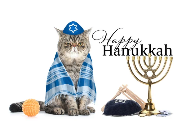 Pozdrowienia Dla Happy Hannukah Zabawnym Żydowskim Kotem — Zdjęcie stockowe