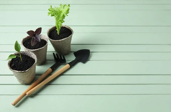 彩木背景的泥炭盆及园艺工具中的植物幼苗 — 图库照片