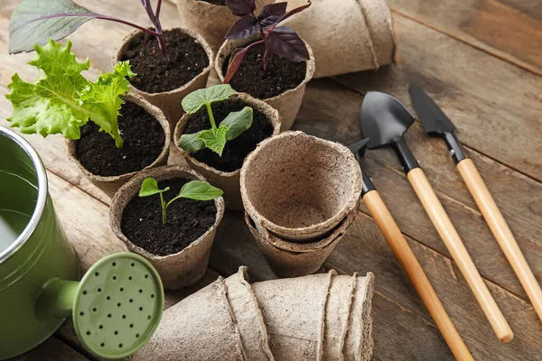 Plantas Mudas Vasos Turfa Ferramentas Jardinagem Fundo Madeira — Fotografia de Stock