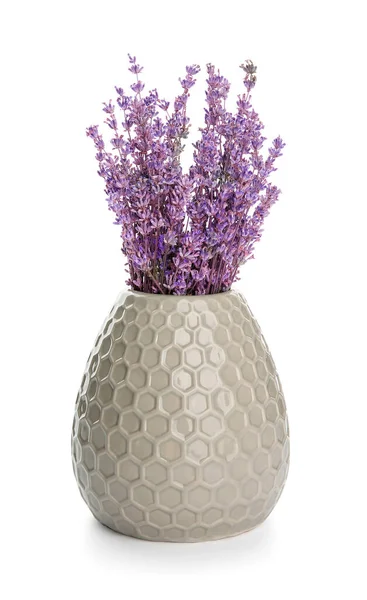 Vase Beautiful Lavender Flowers White Background — Stock Photo, Image