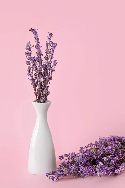 천연색 배경의 아름다운 라벤더 — 스톡 사진