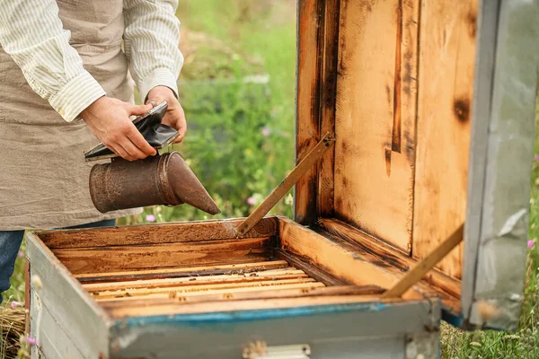 Beekeeper Working His Apiary — Stock Photo, Image