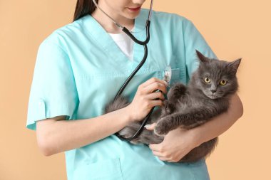 Bayan veteriner, bej arka planda steteskoplu şirin kediyi inceliyor.