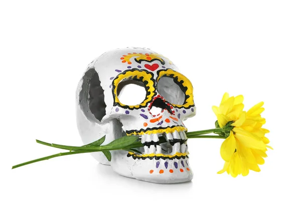 Раскрашенный Человеческий Череп Дню Мертвых Мексике Dia Muertos Цветок Белом — стоковое фото