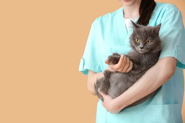 Female Veterinarian Cute Cat Beige Background — Stock Photo, Image