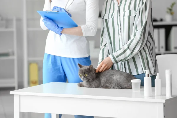 Nainen Kissansa Kanssa Eläinlääkäriklinikalla — kuvapankkivalokuva