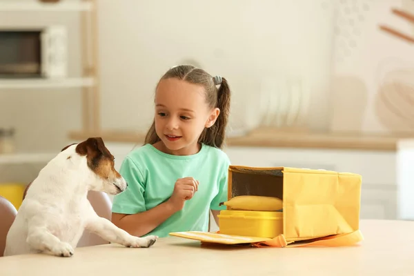 Cute Little Girl Funny Dog Putting Her Lunch Bag — Stock Photo, Image