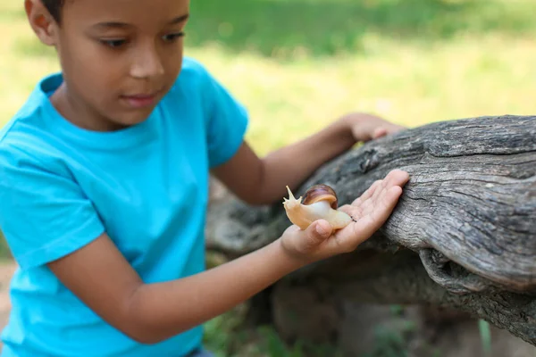 Little Boy Snail Outdoors — Stock Photo, Image