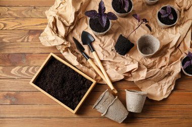 Turba saksılarına fidanlar, ahşap arka planda bahçe aletleri eker.