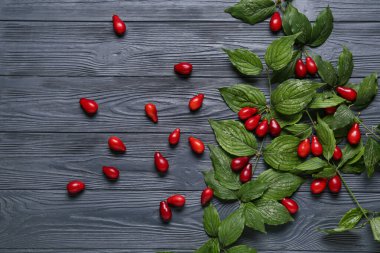 Siyah ahşap arka planda taze kızılcık üzümlü dallar.