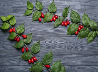 Siyah ahşap arka planda taze kızılcık üzümlü dallar.