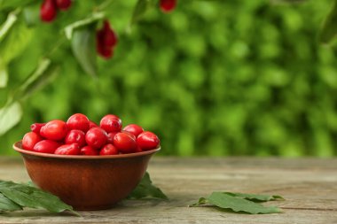 Açık havada taze kızılcık üzümlü kase.