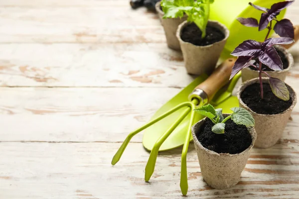 Plants Seedlings Peat Pots Gardening Tools Light Wooden Background — Stock Photo, Image