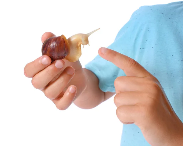Little Boy Snail White Background Closeup — Stock Photo, Image