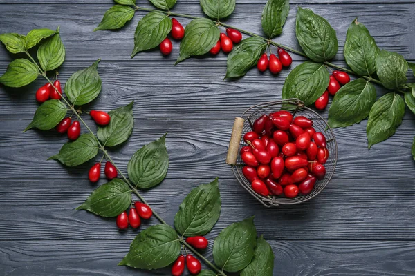 Branches Basket Fresh Dogwood Berries Black Wooden Background — Stock Photo, Image