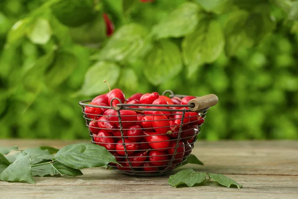 Basket Fresh Dogwood Berries Table Outdoors — Stock Photo, Image