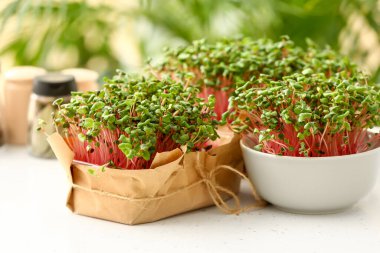 Masada organik mikro yeşil lahanalar var.