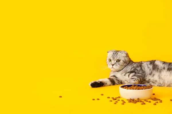 Cute Cat Bowl Food Color Background — Stock Photo, Image