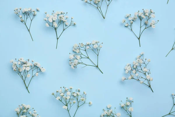 Beautiful Gypsophila Flowers Blue Background — Stock Photo, Image