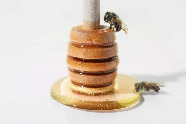 Dipper Miodem Pszczołami Białym Tle Zbliżenie — Zdjęcie stockowe