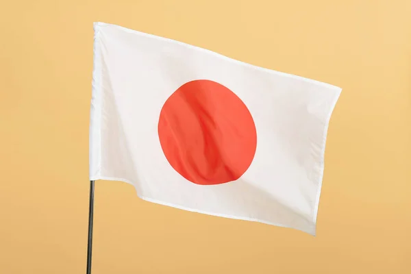 Flagge Von Japan Auf Farbigem Hintergrund — Stockfoto